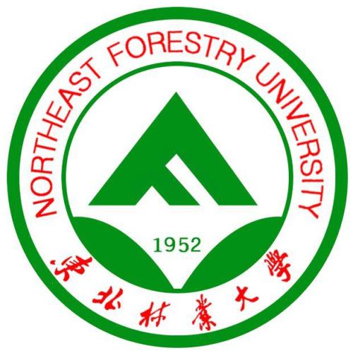 東北大學(xué)